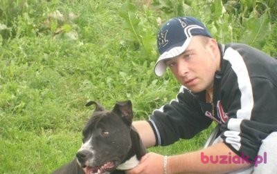 kamil, Mężczyzna, 36, Ostrołęka, Polska: 1
