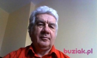 wladek, Mężczyzna, 74, Warszawa, Polska, Zdjęcie: 2