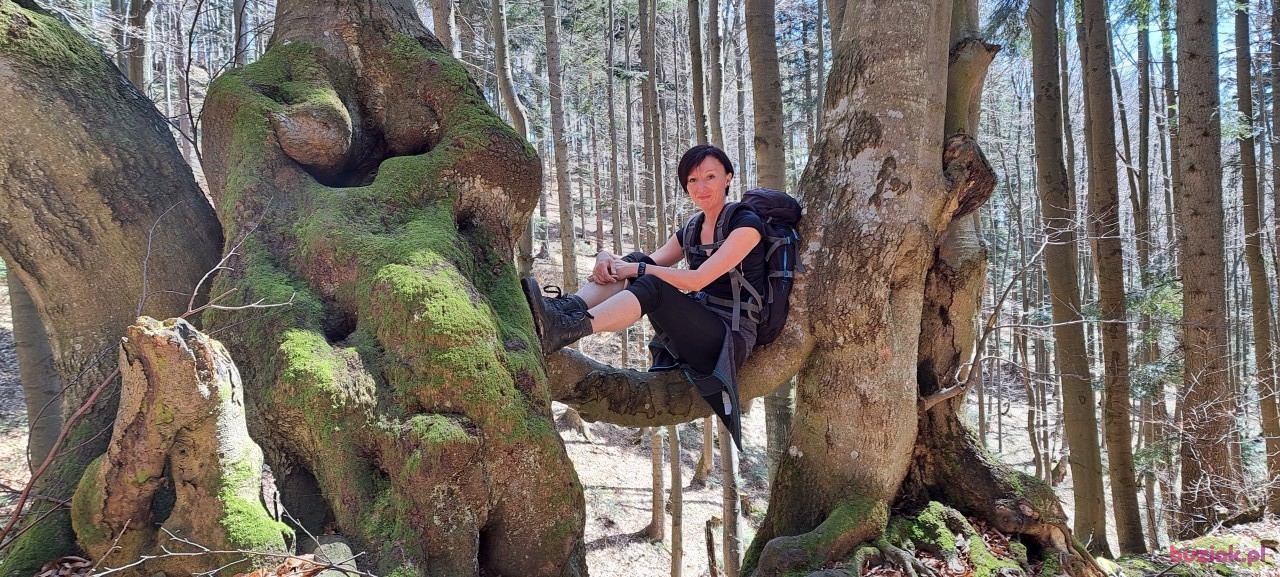 Kat, Kobieta, 44, Wodzisław Śląski, Polska, Zdjęcie: 2