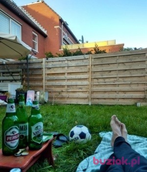 Wedzarz, Mężczyzna, 40, Haarlem North Holland Province, Holandia, Zdjęcie: 4