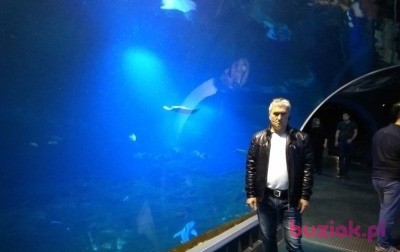 Wojciech, Mężczyzna, 61, Warszawa, Polska, Zdjęcie: 3