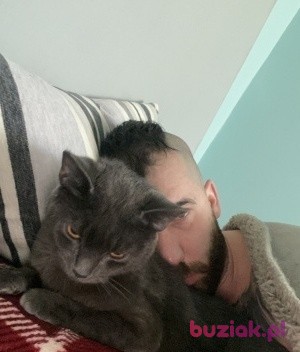 Marek, Male, 34, Mansfield, Wielka Brytania, Photo: 1