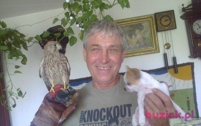 marek, Male, 71, Olkusz, Polska, Photo: 5