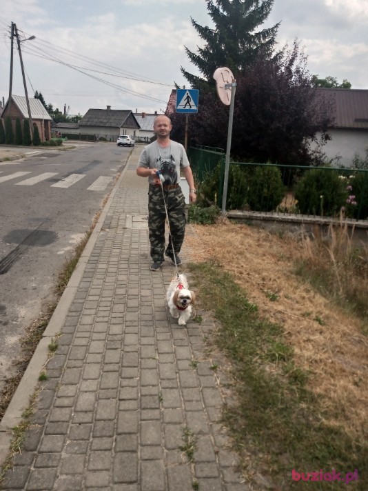 JACEK, Mężczyzna, 51, Wrocław, Polska, Zdjęcie: 5