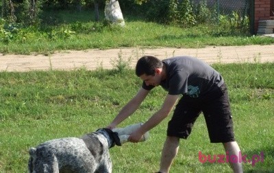 Łukasz, Mężczyzna, 40, Katowice, Polska, Zdjęcie: 2