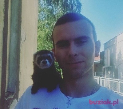 Sebastian, Mężczyzna, 31, Stęszew, Polska, Zdjęcie: 2