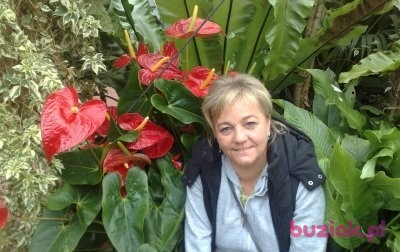 Lidia, Kobieta, 58, Wielka Brytania, Zdjęcie: 2