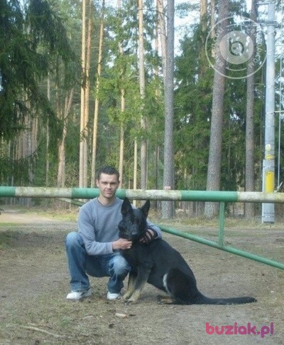 Przemek, Male, 44, Pisz, Polska: 1