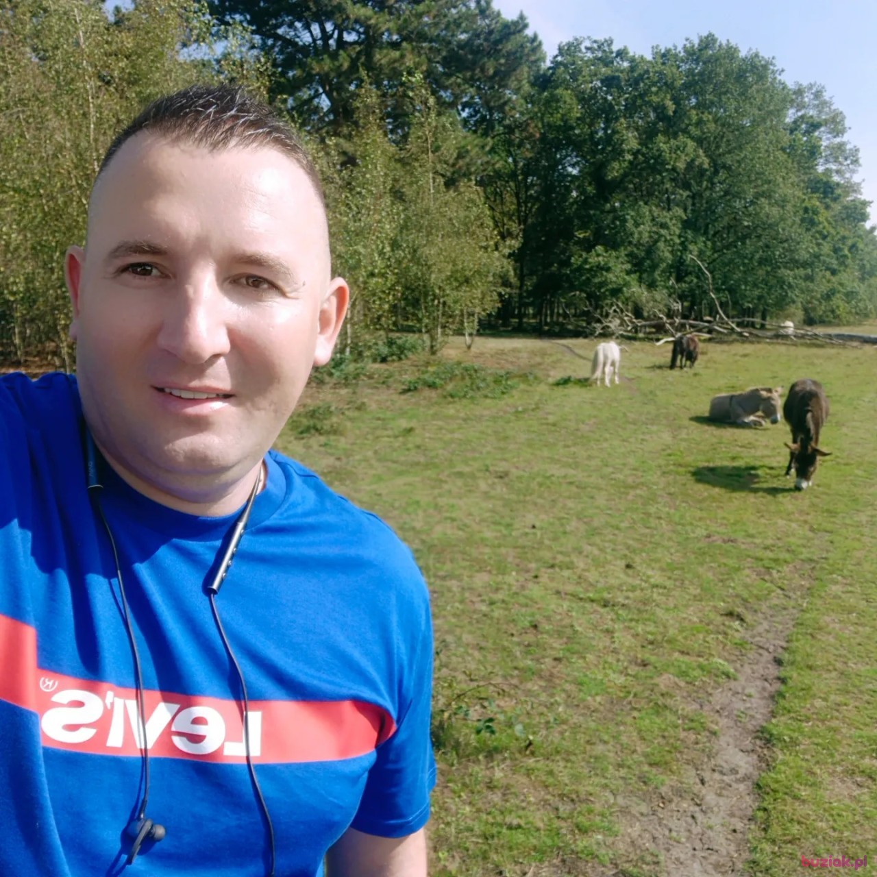 Lukasz, Mężczyzna, 40, Arcen Limburg Province, Holandia, Zdjęcie: 3