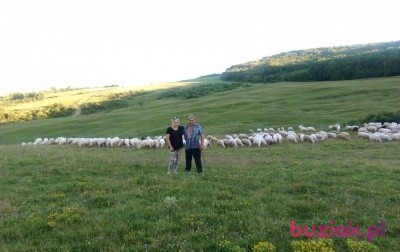 Bozena, Female, 57, Racibórz, Polska, Photo: 1