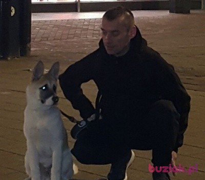 Marcinekh.., Male, 47, Wielka Brytania, Photo: 1