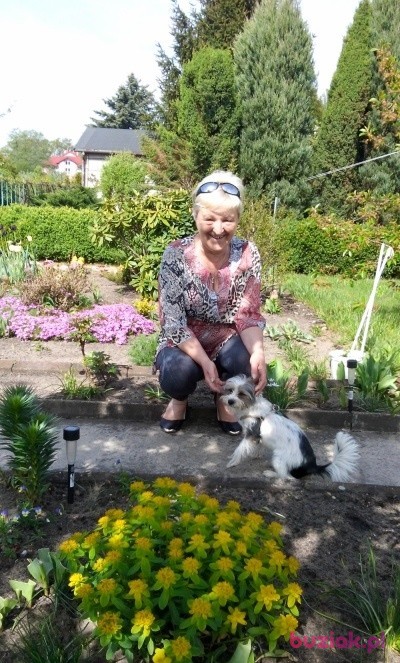 Ula, Kobieta, 68, Międzyrzec Podlaski, Polska, Zdjęcie: 3