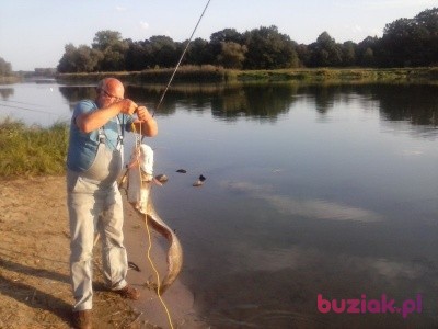 Andrzej, Male, 67, Wrocław, Polska, Photo: 6