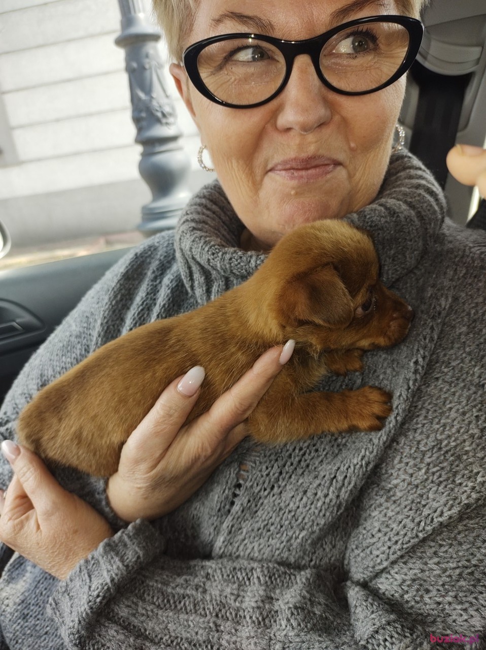 Kasia, Kobieta, 53, Włocławek, Polska, Zdjęcie: 1