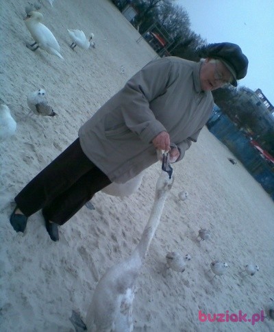 beata, Female, 83, Toruń, Polska, Photo: 1