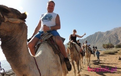 Bogdan, Male, 60, Austria, Photo: 8