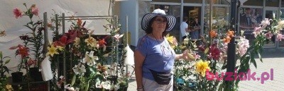 Janina, Kobieta, 75, Warszawa, Polska, Zdjęcie: 2