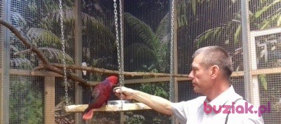 Darek, Mężczyzna, 60, Łódź, Polska, Zdjęcie: 5