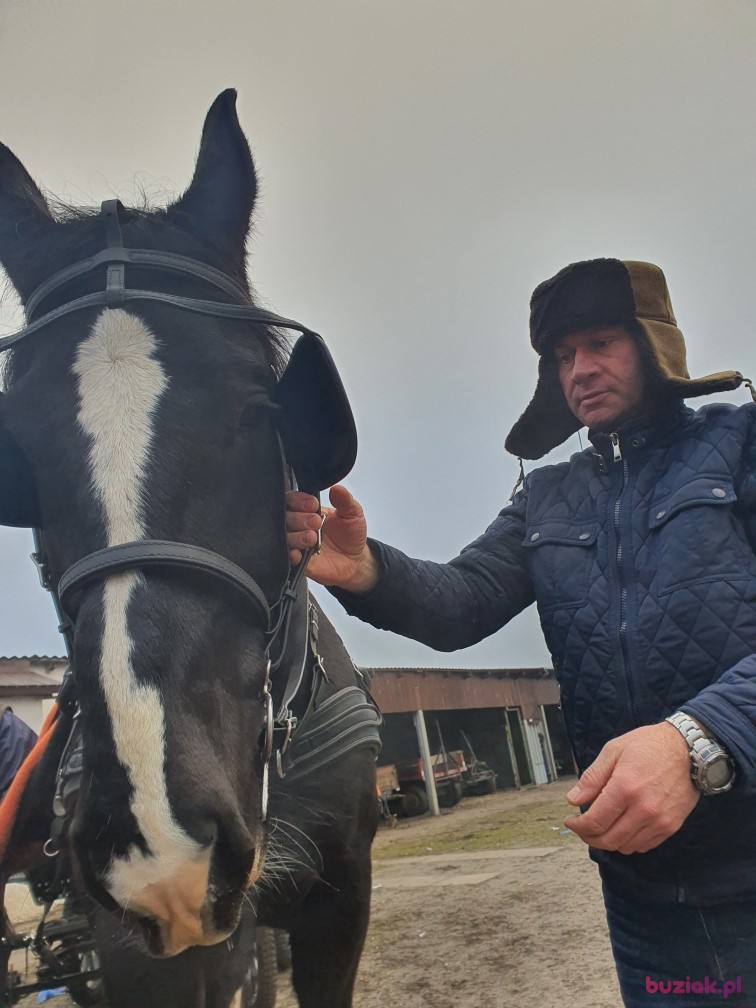 Przemysław, Mężczyzna, 51, Bełchatów, Polska, Zdjęcie: 4
