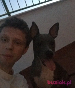 Sebastian , Mężczyzna, 39, Hiszpania, Zdjęcie: 2