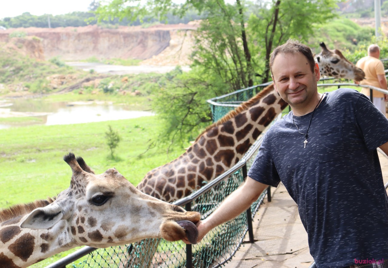Marcin, Mężczyzna, 53, Mielec, Polska, Zdjęcie: 10