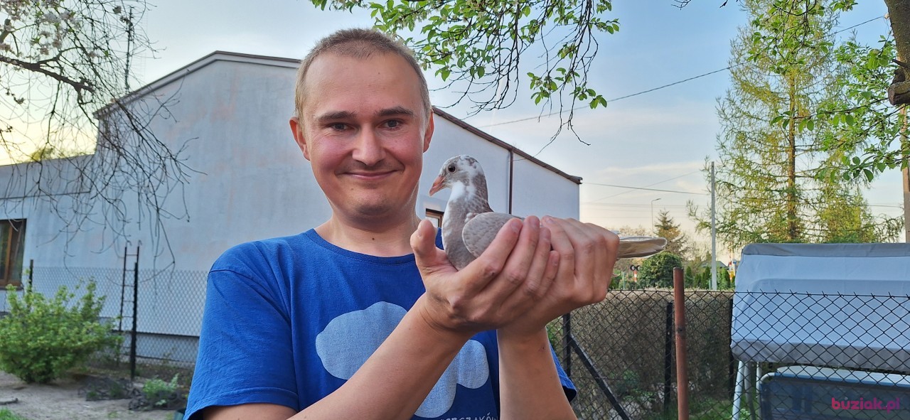 Michał, Mężczyzna, 36, Zgierz, Polska, Zdjęcie: 341