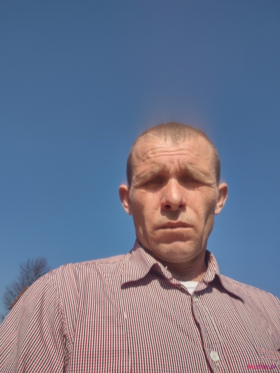 Andrzej, Male, 47, Elbląg, Polska: 1