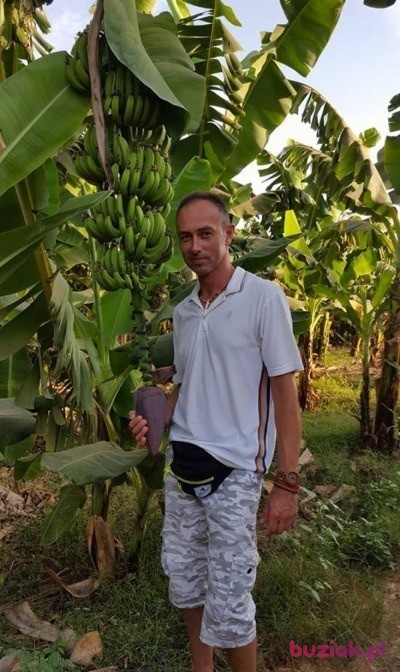 Krzysztof, Mężczyzna, 53, Katowice, Polska, Zdjęcie: 8