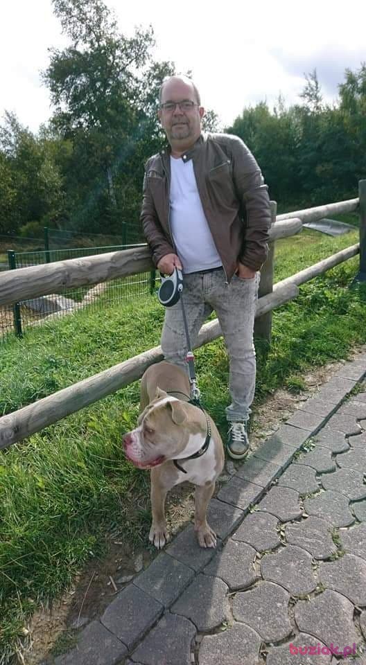 Jozek, Mężczyzna, 60, Dortmund, Niemcy, Zdjęcie: 4