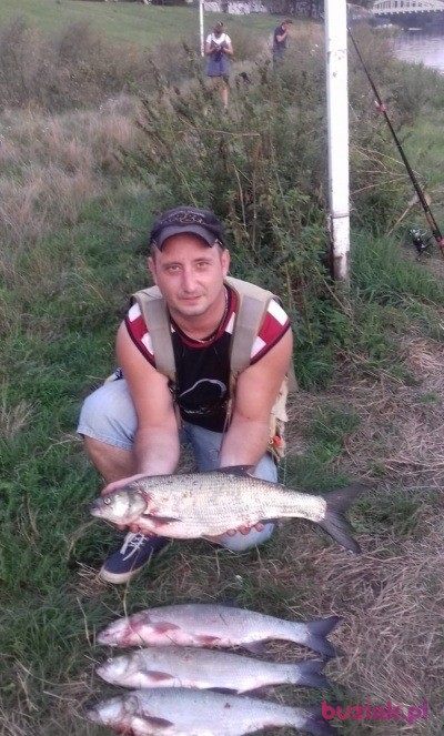 Krzysztof, Mężczyzna, 42, Wrocław, Polska, Zdjęcie: 2