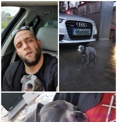 Nikolas, Male, 32, Lubań, Polska, Photo: 2