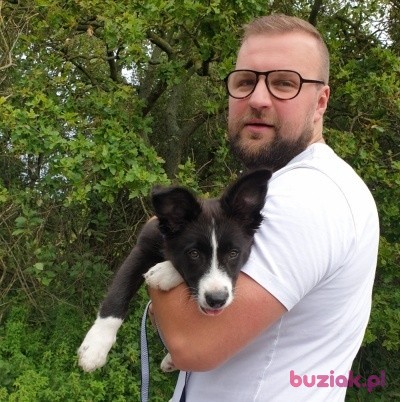Łukasz, Mężczyzna, 39, Rotterdam South Holland Province, Holandia: 1