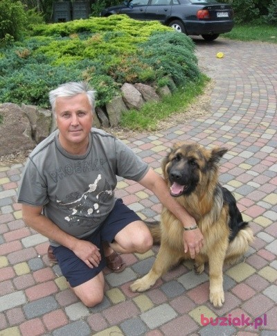 Witold, Mężczyzna, 58, Gostynin, Polska: 1