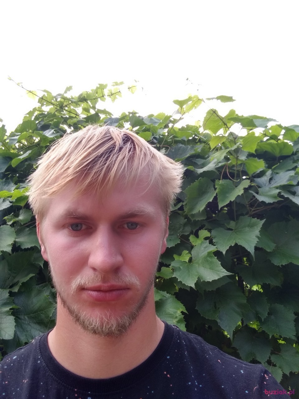 Jakub, Mężczyzna, 28, Toszek, Polska: 1