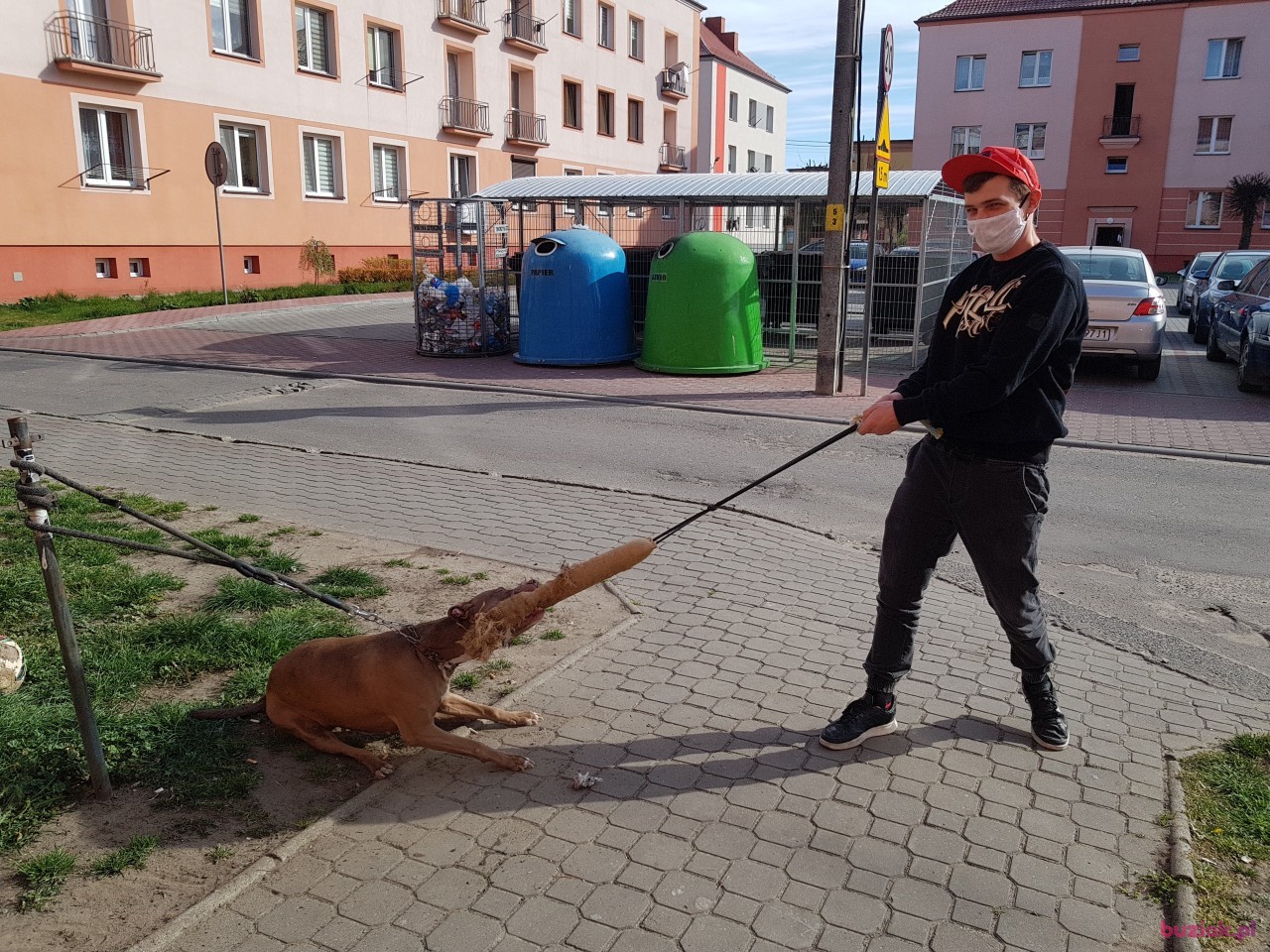 Mat, Mężczyzna, 35, Stuttgart, Niemcy, Zdjęcie: 2