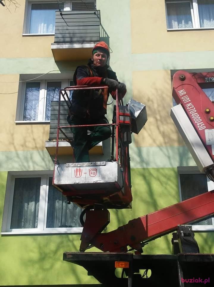 Tomasz, Mężczyzna, 42, Blachownia, Polska, Zdjęcie: 2