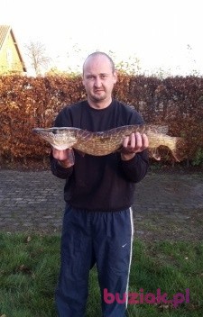 andre, Male, 44, Polska, Photo: 1