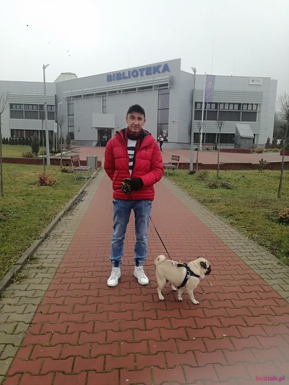 Krzysztof, Male, 52, Kościerzyna, Polska: 1
