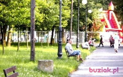 pawel, Mężczyzna, 42, Przemyśl, Polska, Zdjęcie: 5