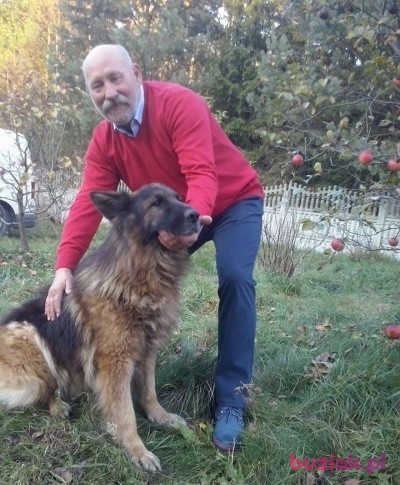 cezaryklimza, Mężczyzna, 66, Częstochowa, Polska, Zdjęcie: 2