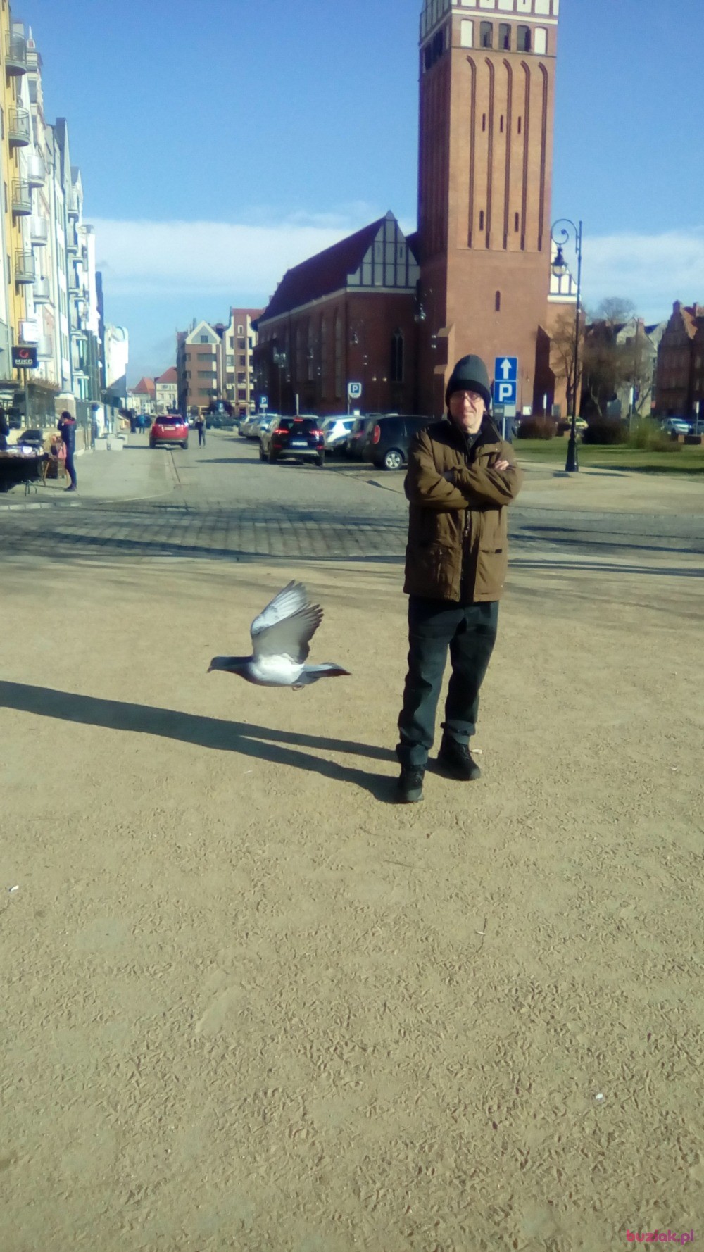 Grzegorz , Mężczyzna, 64, Elbląg, Polska, Zdjęcie: 14