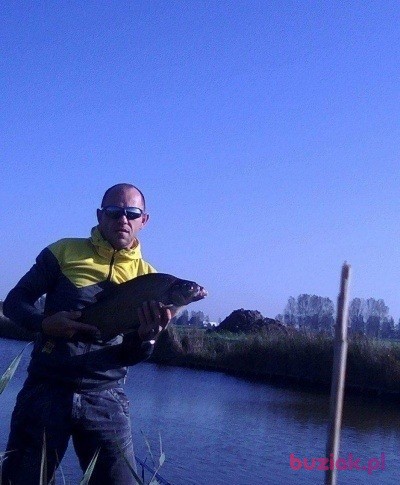 Robert, Male, 48, Haarlem North Holland Province, Holandia, Photo: 4