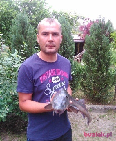 Przemek, Mężczyzna, 40, Warszawa, Polska, Zdjęcie: 2
