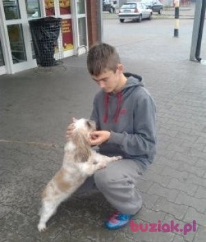 krzysiek , Male, 30, Słupsk, Polska, Photo: 3