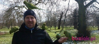 Aureliusz, Mężczyzna, 47, Westminster, Wielka Brytania, Zdjęcie: 14