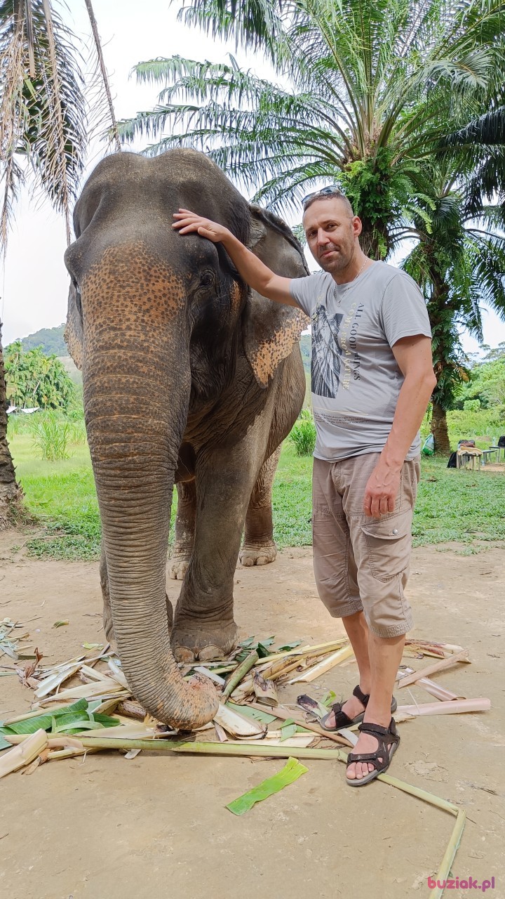 Tom, Male, 43, Yeovil, Wielka Brytania, Photo: 2