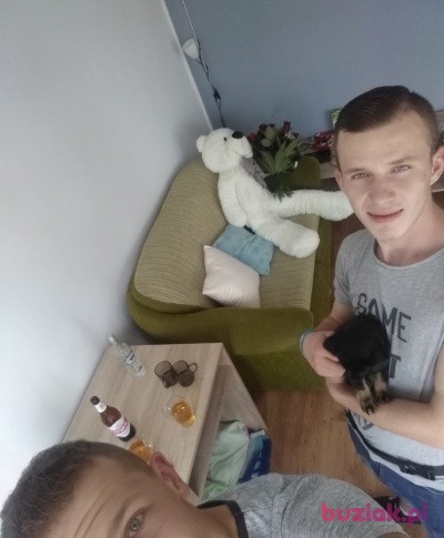 Maciej , Mężczyzna, 24, Poznań, Polska: 1