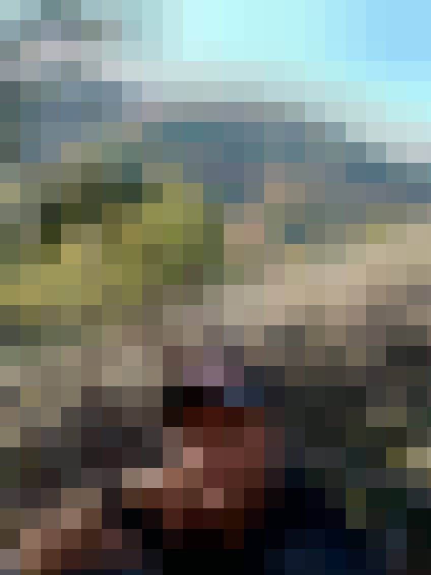 Piotr, Male, 42, Haga, Holandia, Photo: 5