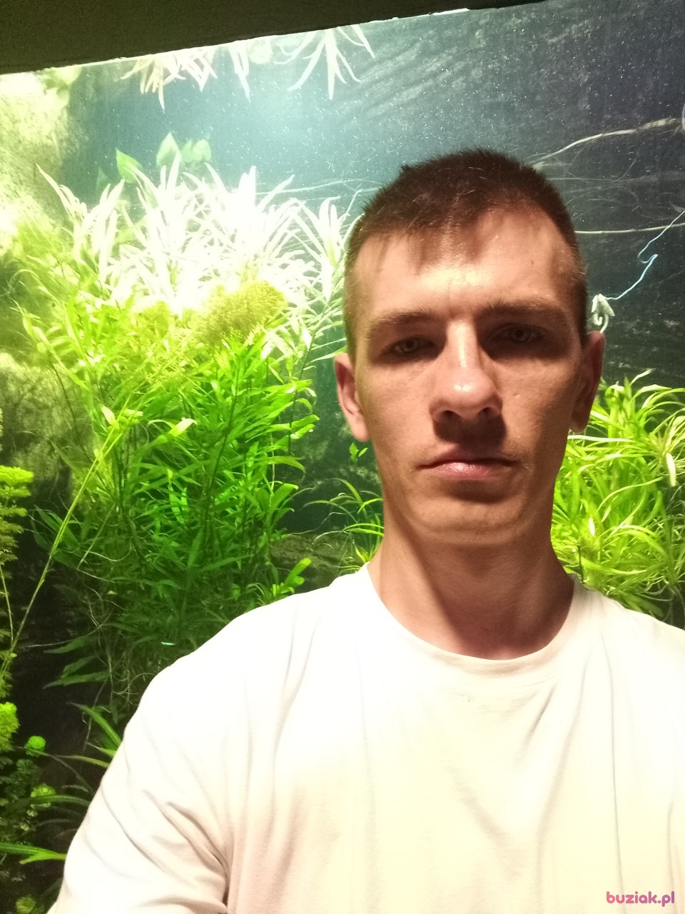 Sebastian, Mężczyzna, 33, Sierpc, Polska, Zdjęcie: 2