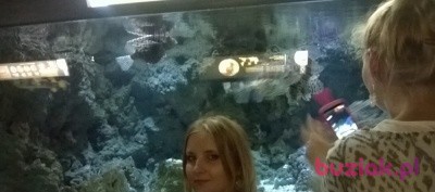 Weronika, Female, 36, Gosport, Wielka Brytania: 1